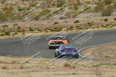 media/May-03-2025-Lucky Dog Racing (Sat) [[206de64b9d]]/Turn 2 (1020am-1120am)/